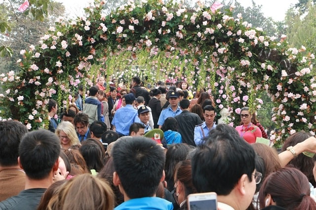 lễ hội hoa hồng công viên thống nhất